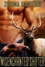 Misenchanted Shifter