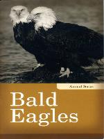 Bald Eagles