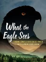 What the Eagle Sees