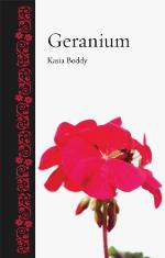 Geranium