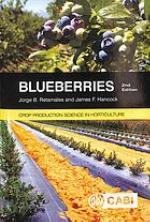 Blueberries