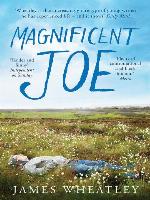 Magnificent Joe