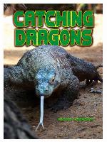 Catching Dragons