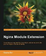 Nginx Module Extension