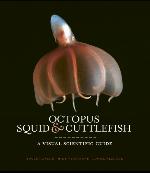 Octopus, Squid &amp; Cuttlefish