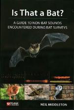 Is That a Bat?