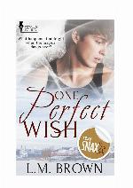 One Perfect Wish