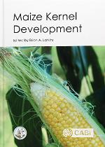 Maize Kernel Development