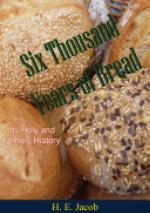 Six Thousand Years of Bread : Its Holy and Unholy History.