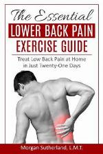 The Essential Lower Back Pain Exercise Guide