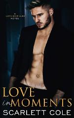 Love In Moments: An opposites attract hockey romance (Love Distilled)