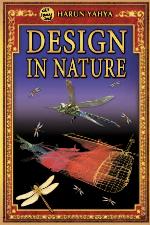 The Design In Nature