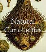 Natural Curiousities