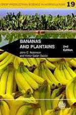 Bananas and plantains