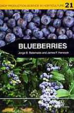 Blueberries [op]