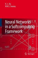 Neural Networks in a Softcomputing Framework
