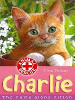 Charlie the Home-alone Kitten