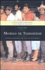 Mexico in Transition : Neoliberal Globalism, the State and Civil Society.