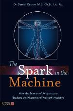 The Spark in the Machine