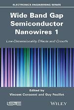 Wide Band Gap Semiconductor Nanowires 1