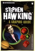 Introducing Stephen Hawking (Introducing (Graphic Guides))