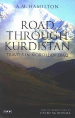 Road through Kurdistan