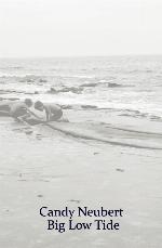 Big Low Tide