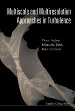 Multiscale and Multiresolution Approaches in Turbulence