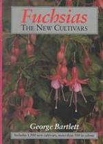 Fuchsias