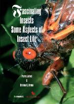Fascinating Insects
