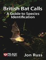 British Bat Calls
