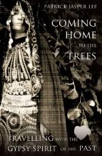 Coming Home to the Trees: Travelling With the Gypsy Spirit of the Past