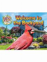 Welcome to the Backyard