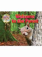 Welcome to the Forest
