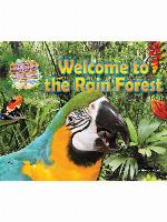 Welcome to the Rain Forest