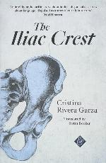 Iliac Crest