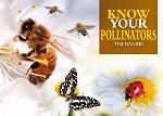 Know Your Bees &amp; Other Pollinators