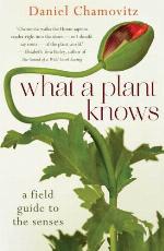 What a Plant Knows