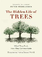 The Hidden Life of Trees