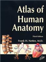 Atlas of Human Anatomy