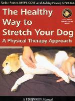 The Healthy Way to Stretch Your Dog