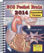 ECG Pocket Brain 2014 (Expanded Version)
