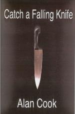 Catch a Falling Knife