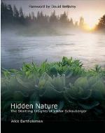 Hidden Nature