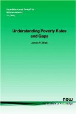Understanding poverty rates and gaps : concepts, trends and challenges