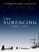 The Surfacing