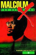 Malcolm X For Beginners