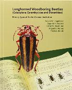 Longhorned Woodboring Beetles (Coleoptera