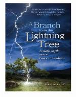 A Branch from the Lightning Tree