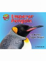 Emperor Penguin
